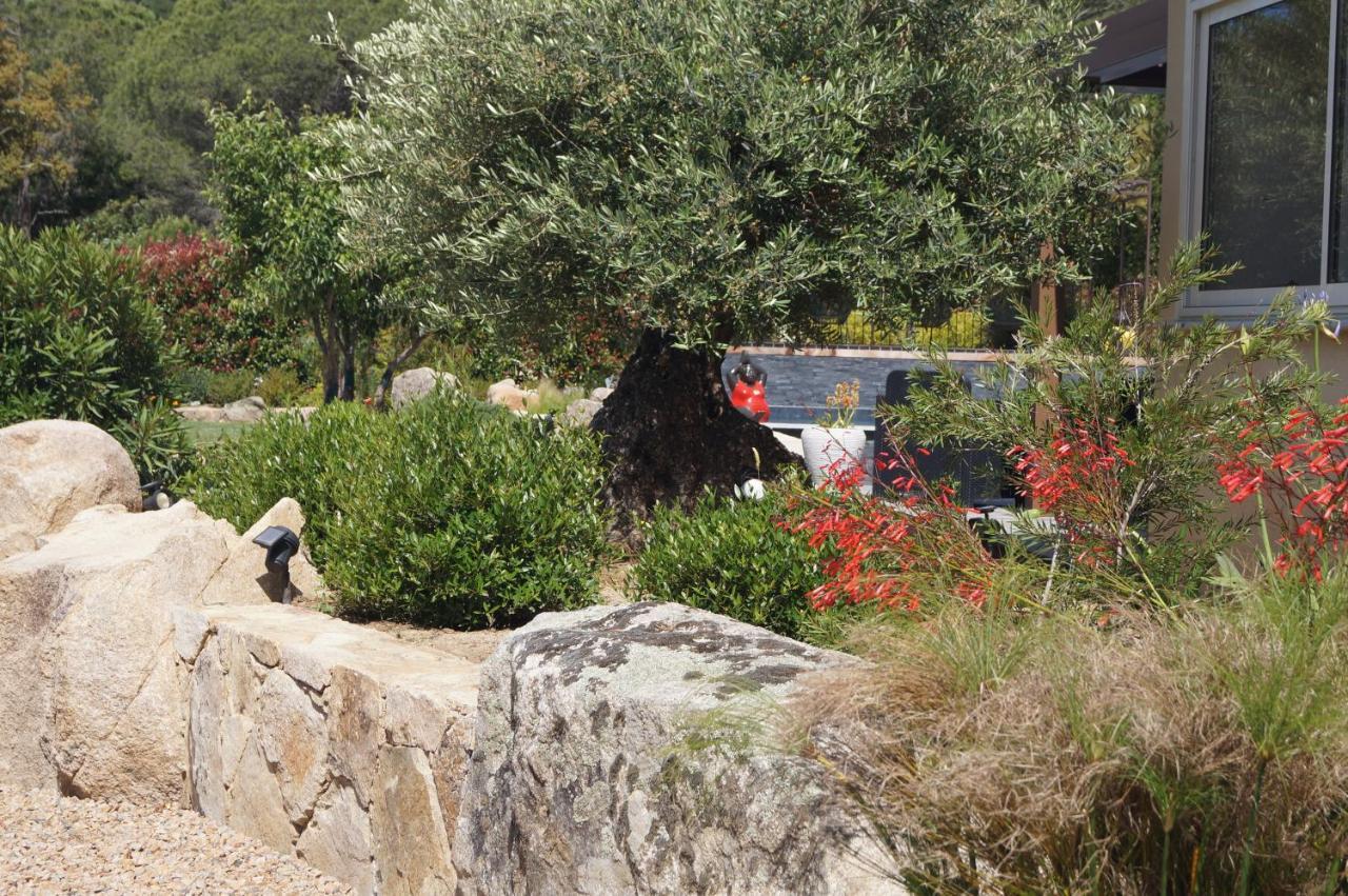 Les Jardins De Santa Giulia - Charmante Chambre D'Hote Porto-Vecchio  Luaran gambar